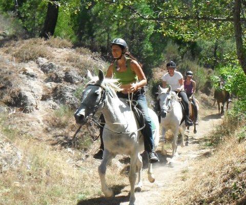horse riding-paardrijden-passeios a cavalo-randonnée a cheval- Portugal