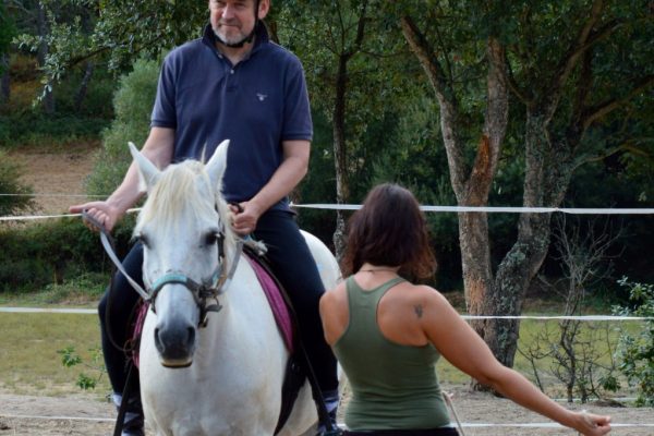 riding-lessons1