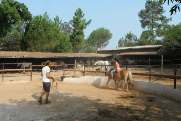 Horsemanship Portugal