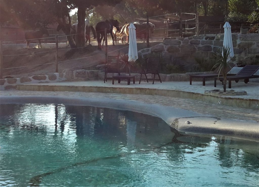 vakantieboerderij met zwembad Portugal