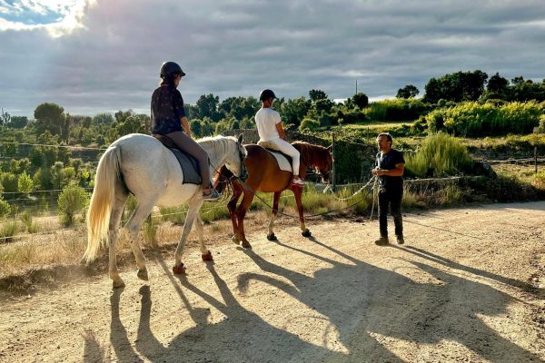 Horseriding for inexperienced riders
