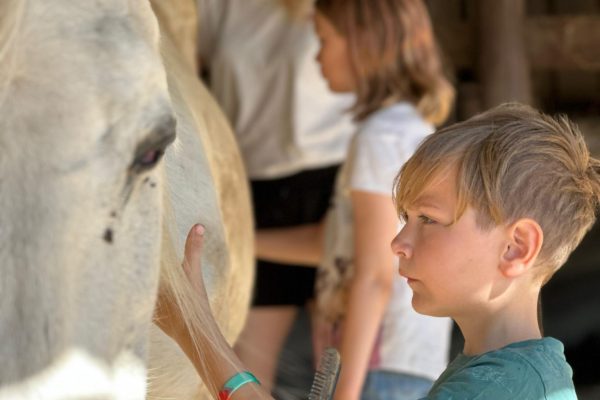 Children learn communication with horses