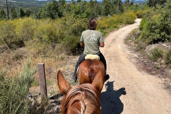 Passeios a cavalo-andar a cavalo-passeios equestres-Portugal