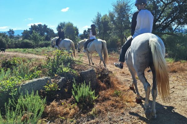 Horseback riding Portugal