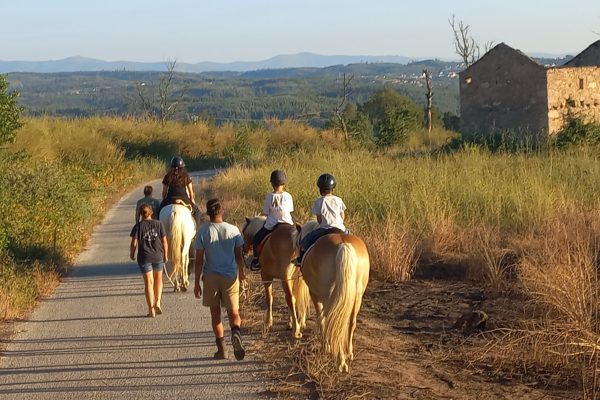 Paardrijden in Portugal-onervaren ruiters
