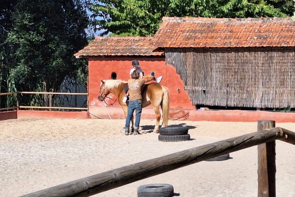 Horseriding lessons-horseriding Holidays-Portugal