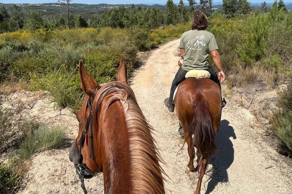 Horse riding in Nature-Portugal
