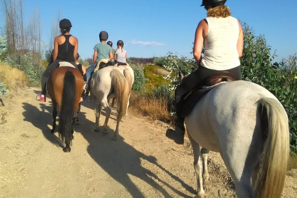 Horseback riding in Portugal
